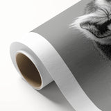 Vibrant rolled canvas featuring a whimsical lemur design from the Animals A Wild Life collection, showcasing intricate details and rich colors, perfect for home decor.