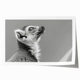 Lemur-themed wall art print showcasing vibrant colors and intricate designs, rolled for easy transport and display in home decor, perfect for animal lovers.