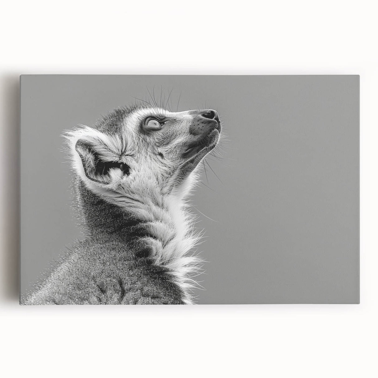 Vibrant stretched canvas wall art featuring a playful lemur design, showcasing bold colors and intricate details, perfect for adding a whimsical touch to any room.