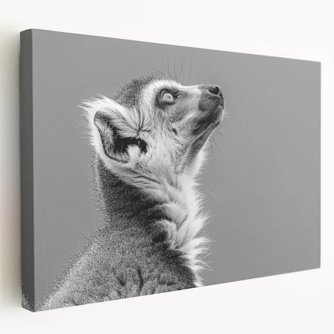 Lemur-themed wall art design on a stretched canvas, showcasing vibrant colors and intricate details of the playful primate, perfect for wildlife enthusiasts' decor.