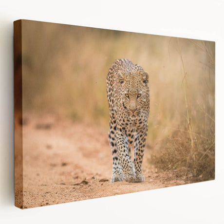 Stretched canvas artwork showcasing a striking leopard design, highlighting vivid colors and intricate details, perfect for wildlife enthusiasts and home decor.