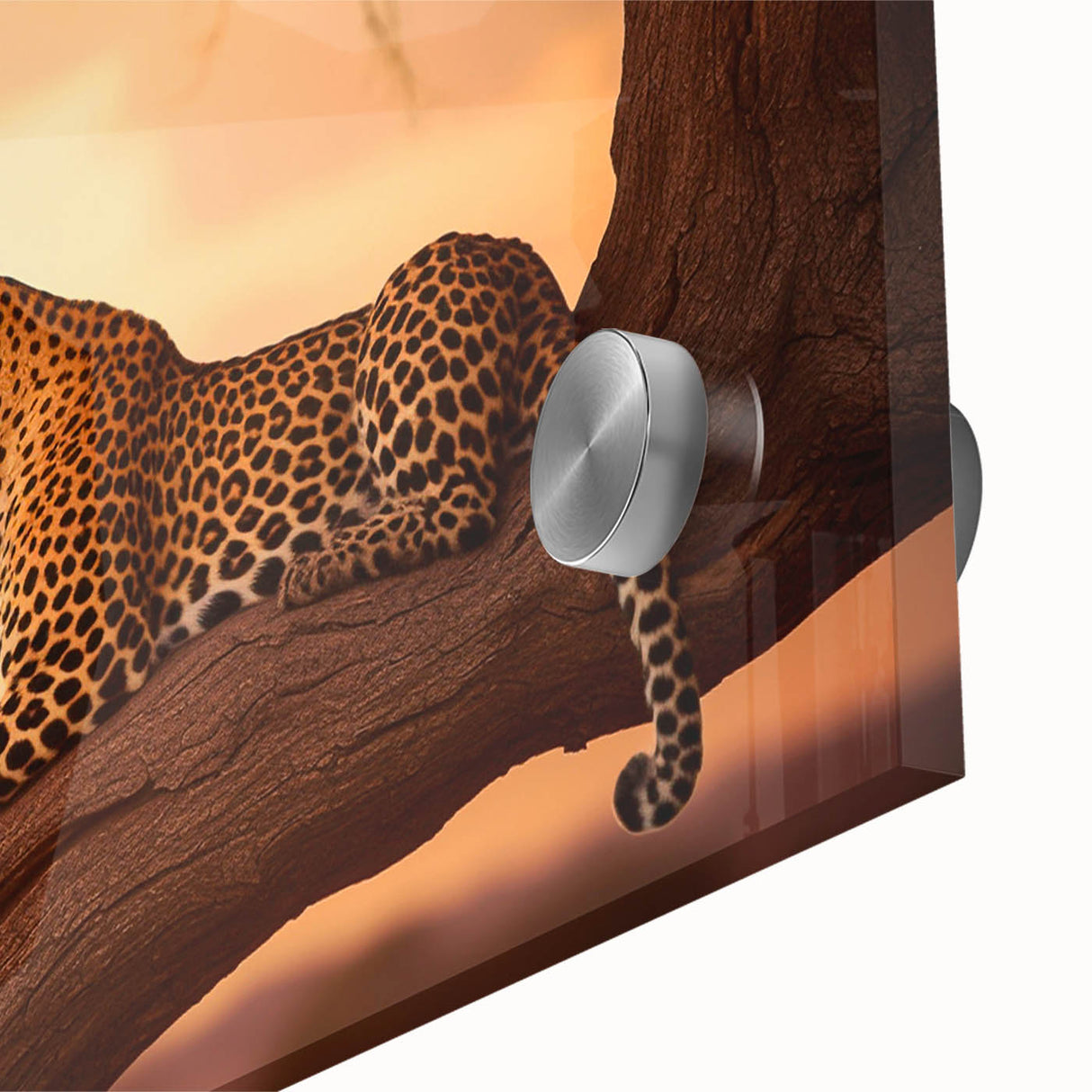 Close-up of a stunning leopard wall art design featuring vibrant colors and intricate details, printed on acrylic glass, perfect for wildlife-themed decor.