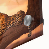 Close-up of a stunning leopard wall art design featuring vibrant colors and intricate details, printed on acrylic glass, perfect for wildlife-themed decor.
