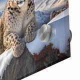 Close-up of a stunning leopard wall art piece showcasing intricate details and vibrant colors, perfect for wildlife enthusiasts and modern home decor. This acrylic glass design adds a touch of elegance and nature-inspired beauty to any space.
