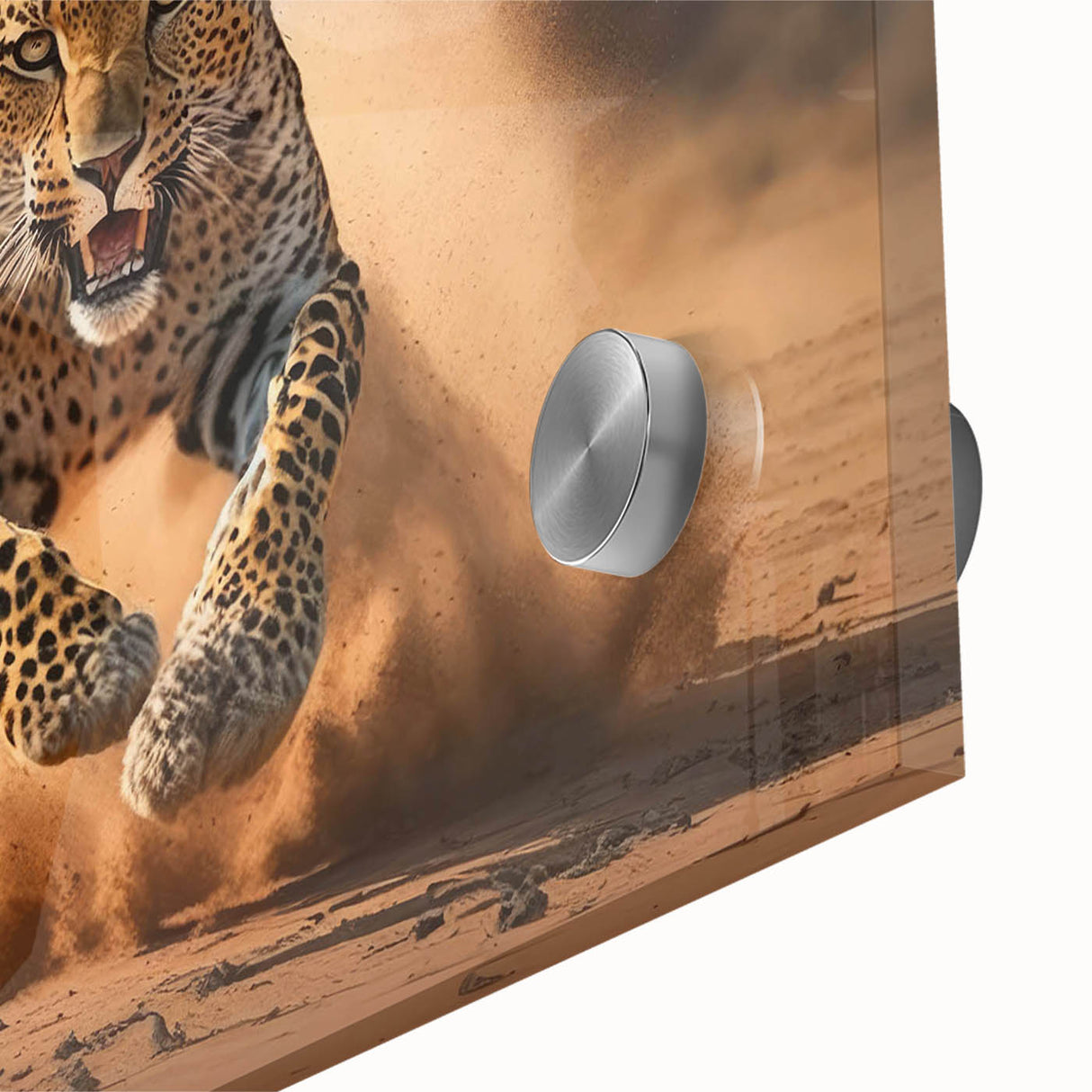 Close-up of a vibrant acrylic glass wall art piece showcasing a majestic leopard in its natural habitat, perfect for wildlife enthusiasts and home decor. The striking design features rich colors and intricate details that celebrate the beauty of nature, making it an eye-catching addition to any space.