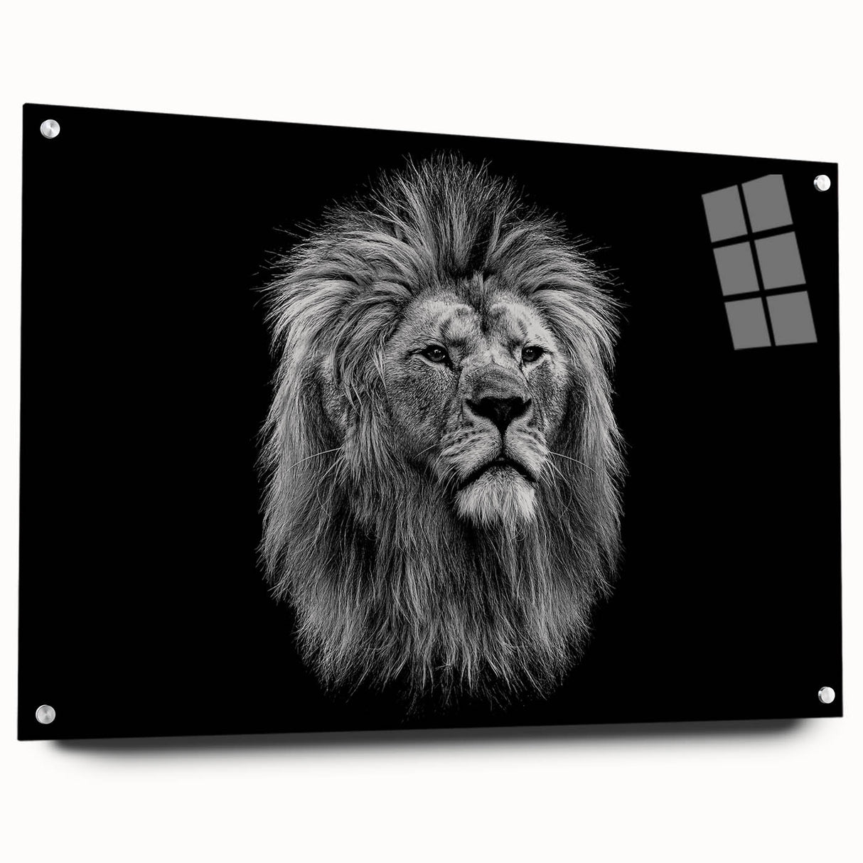 Side view of a lion-themed acrylic wall art piece, showcasing vibrant colors and intricate design details, mounted with stylish pins for easy display.