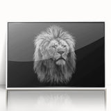 Framed acrylic wall art featuring a majestic lion design in striking colors, set against a white background, perfect for wildlife enthusiasts and modern decor.
