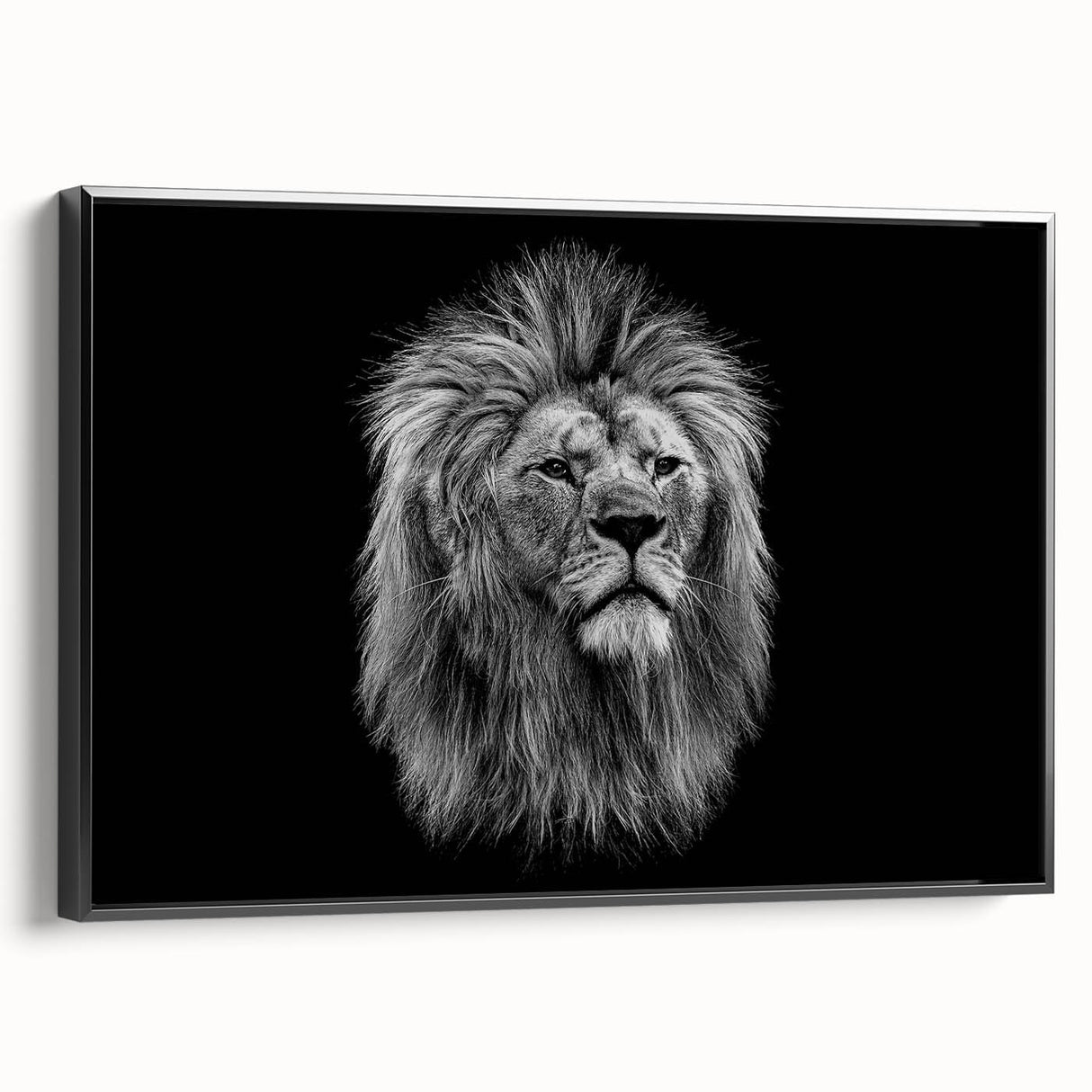 Framed canvas wall art showcasing a striking lion design, featuring intricate details and a bold black frame, perfect for animal lovers and home decor enthusiasts.