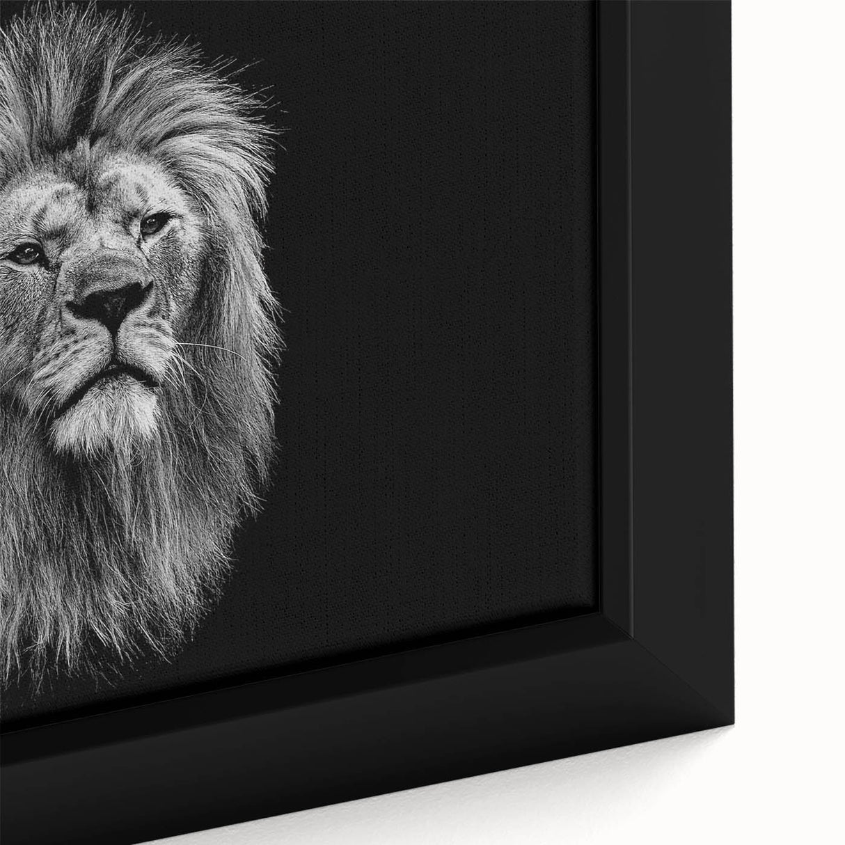 Close-up of a framed canvas wall art featuring a majestic lion design, showcasing intricate details and vibrant colors, perfect for wildlife-themed home decor.