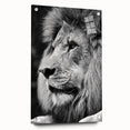 Acrylic wall art featuring a striking side view of a lion, showcasing intricate designs and vibrant colors, perfect for wildlife enthusiasts and home decor.