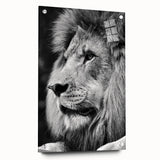Acrylic wall art featuring a striking side view of a lion, showcasing intricate designs and vibrant colors, perfect for wildlife enthusiasts and home decor.