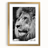 Framed wall art featuring a majestic lion design with a gold mat, ideal for wildlife enthusiasts. Perfect for adding a touch of elegance to any room decor.