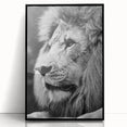 Framed acrylic wall art featuring a striking lion design, showcasing vibrant colors and intricate details, perfect for wildlife enthusiasts and modern decor.