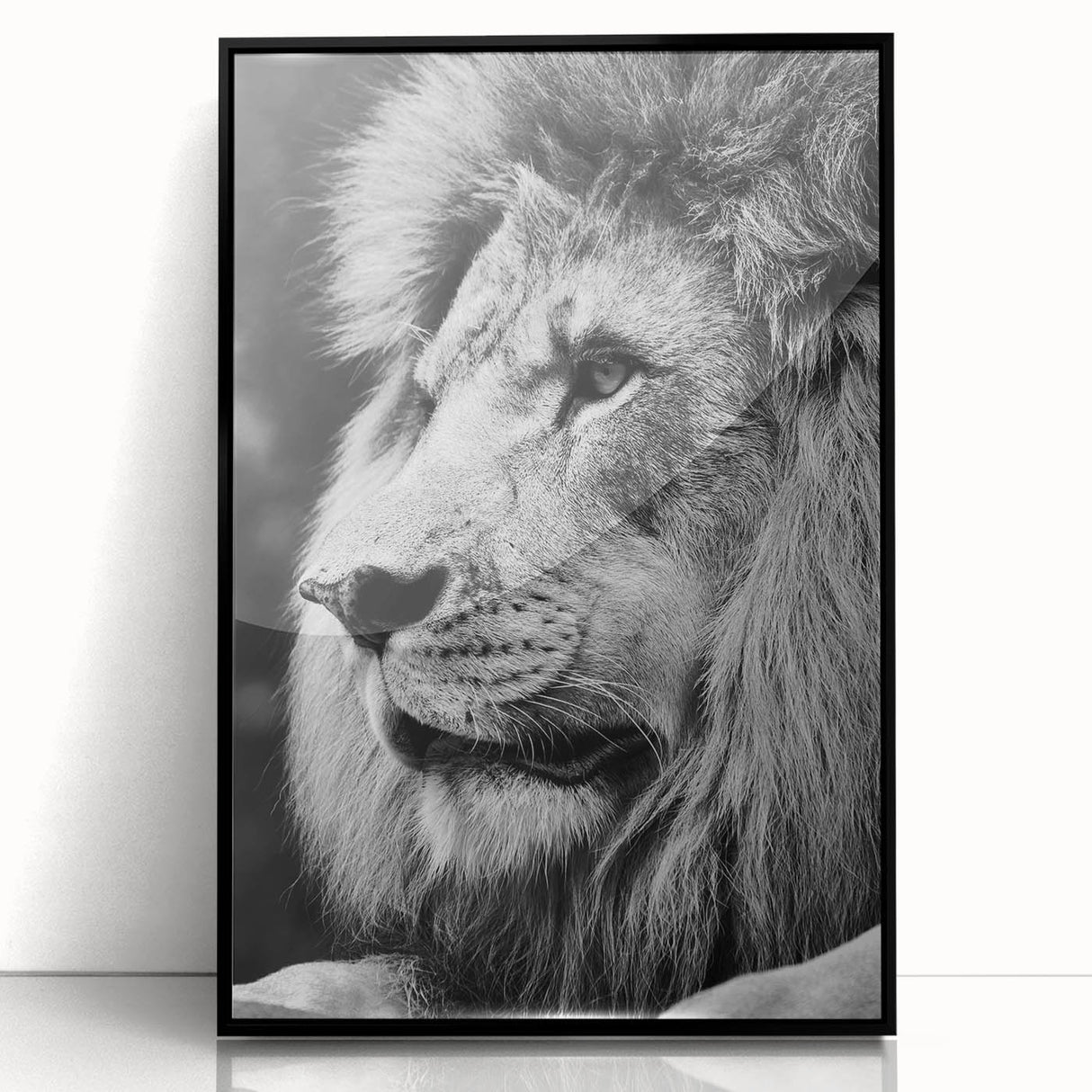 Framed acrylic wall art featuring a striking lion design, showcasing vibrant colors and intricate details, perfect for wildlife enthusiasts and modern decor.