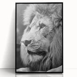 Framed acrylic wall art featuring a striking lion design, showcasing vibrant colors and intricate details, perfect for wildlife enthusiasts and modern decor.