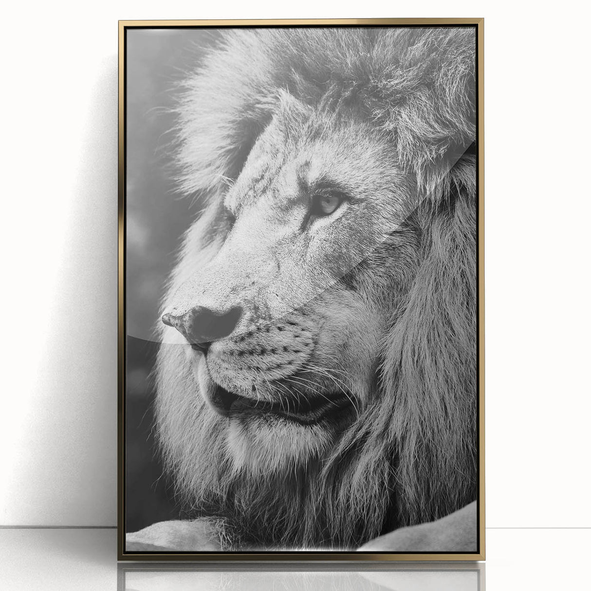 Framed wall art featuring a striking lion design in gold acrylic, showcasing intricate details and vibrant colors, perfect for adding a bold statement to any room decor.