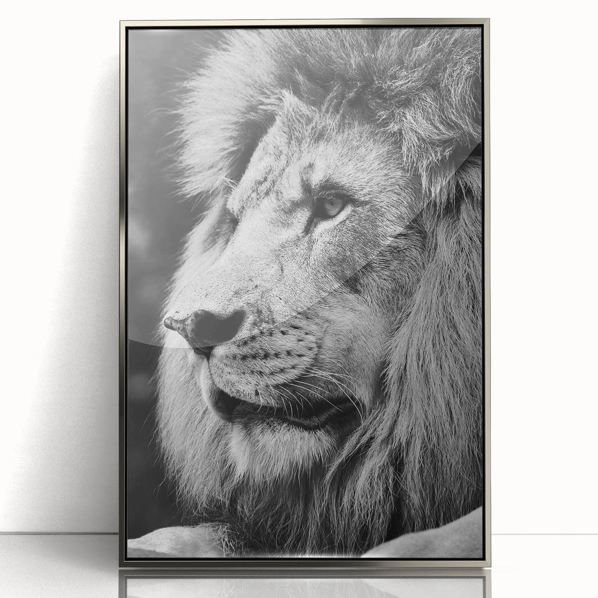 Framed acrylic wall art featuring a striking lion design in silver tones, showcasing intricate details and textures, perfect for wildlife enthusiasts and home decor.