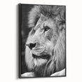 Framed wall art featuring a striking lion design set against a black background, showcasing intricate details and vibrant colors, perfect for enhancing any decor.