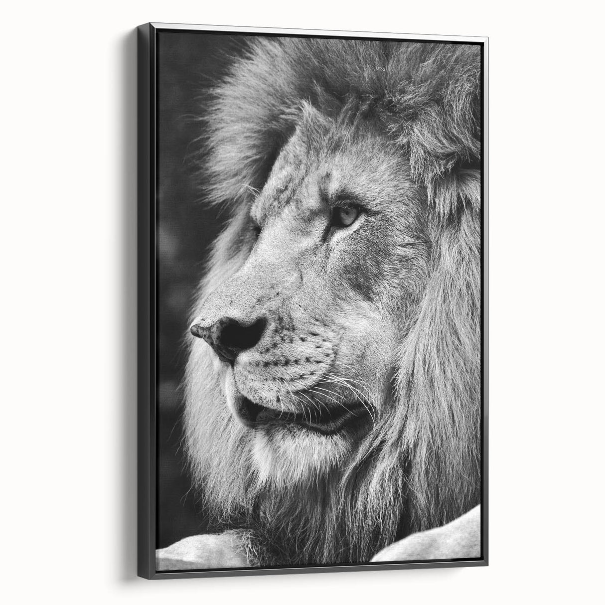 Framed wall art featuring a striking lion design set against a black background, showcasing intricate details and vibrant colors, perfect for enhancing any decor.