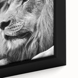 Close-up of a framed lion wall art canvas, showcasing vivid details of the lion's face and mane, ideal for wildlife enthusiasts and home decor.