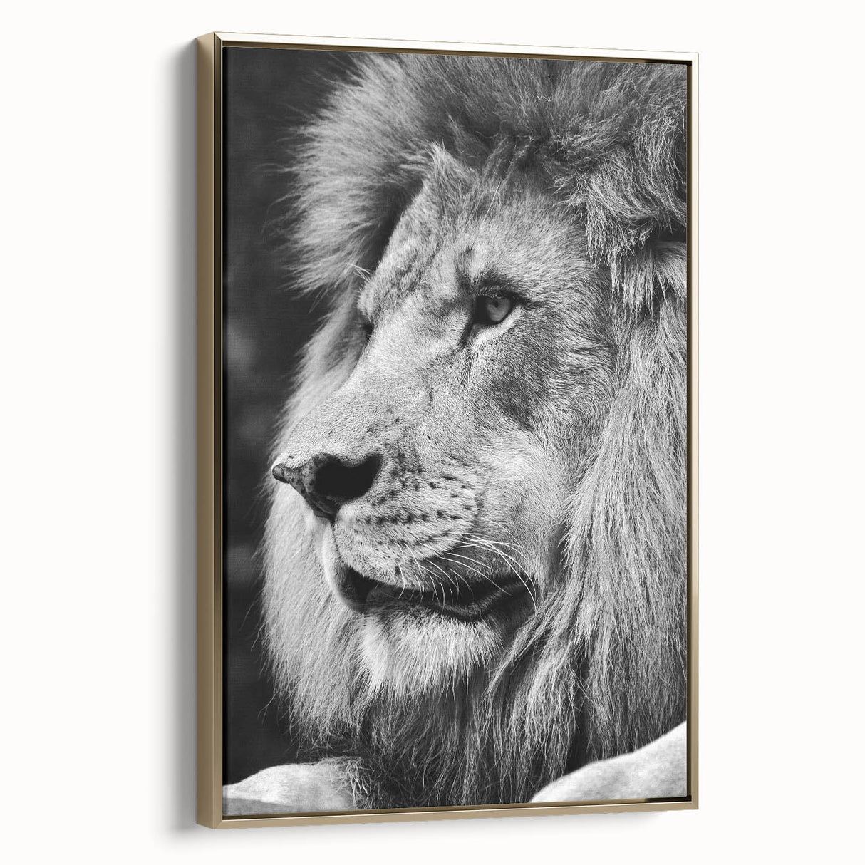 Framed wall art featuring a majestic lion design in gold tones, showcasing intricate details and textures, perfect for animal lovers and modern decor enthusiasts.