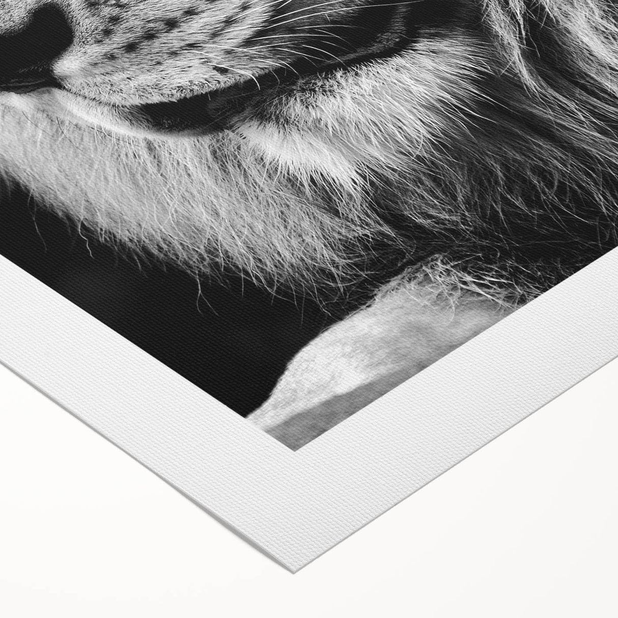 Rolled canvas print showcasing a majestic lion design in vibrant colors, ideal for wildlife-themed decor, highlighting the beauty of nature in home settings.