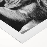 Rolled canvas print showcasing a majestic lion design in vibrant colors, ideal for wildlife-themed decor, highlighting the beauty of nature in home settings.