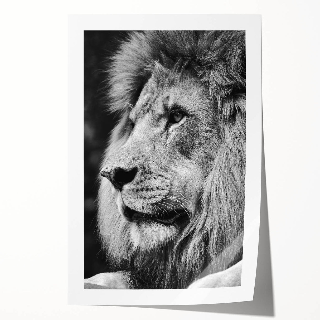 Stunning wall art print featuring a majestic lion design with vibrant colors, showcasing intricate details and textures, perfect for wildlife enthusiasts and home decor.