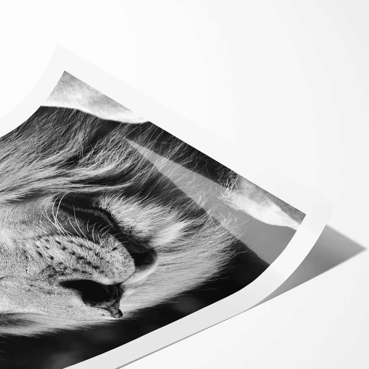 Vibrant wall art print showcasing a majestic lion design, emphasizing rich colors and intricate details, perfect for animal lovers and home decor accents.