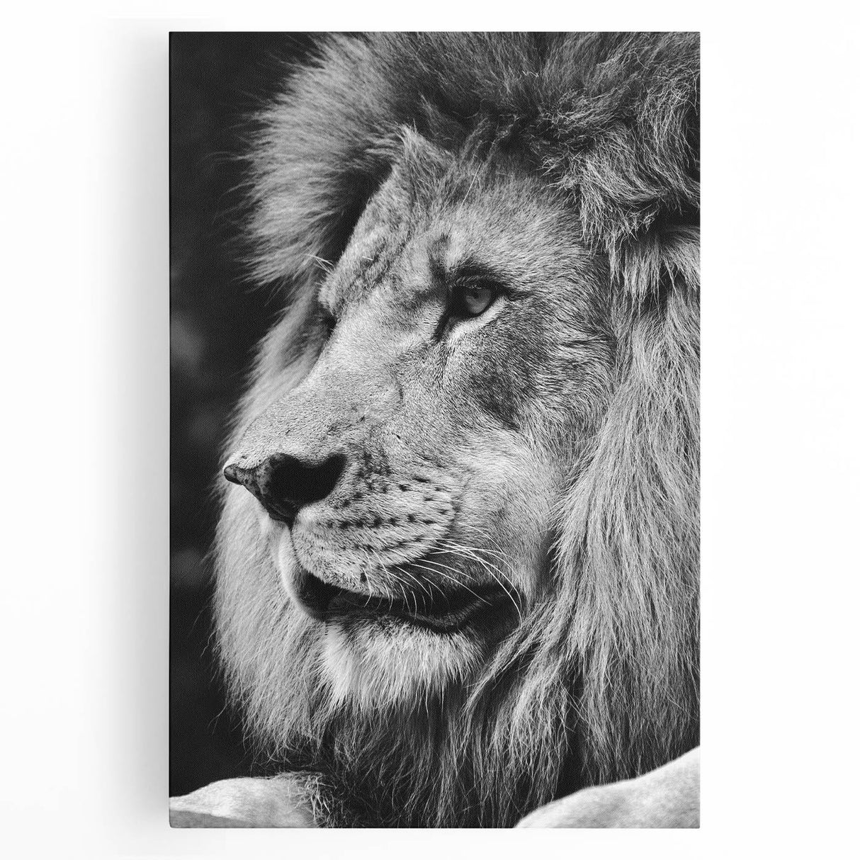 Stretched canvas wall art depicting a majestic lion in a vibrant, colorful design, perfect for wildlife enthusiasts and home décor. Ideal for adding a bold statement.