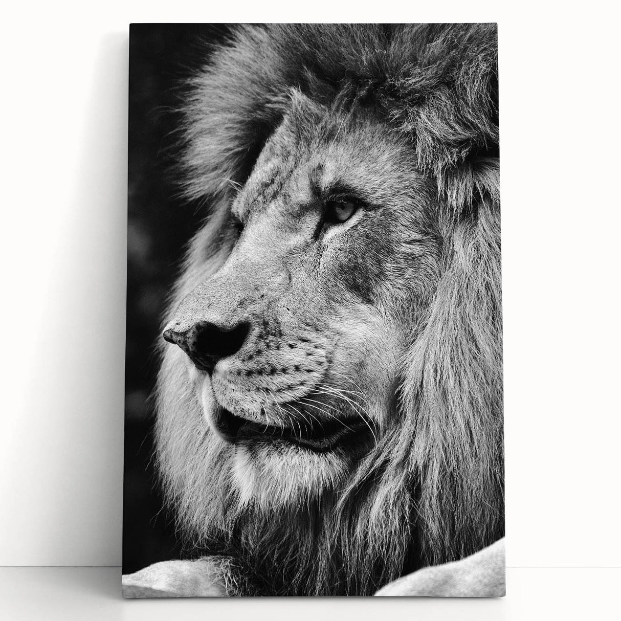 Stretched canvas wall art featuring a majestic lion design, showcasing vibrant colors and intricate details, perfect for wildlife enthusiasts and home decor.