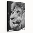 Stretched canvas wall art depicting a majestic lion in profile, showcasing vibrant colors and intricate details, perfect for wildlife enthusiasts and home decor.