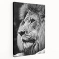 Stretched canvas wall art depicting a majestic lion in profile, showcasing vibrant colors and intricate details, perfect for wildlife enthusiasts and home decor.
