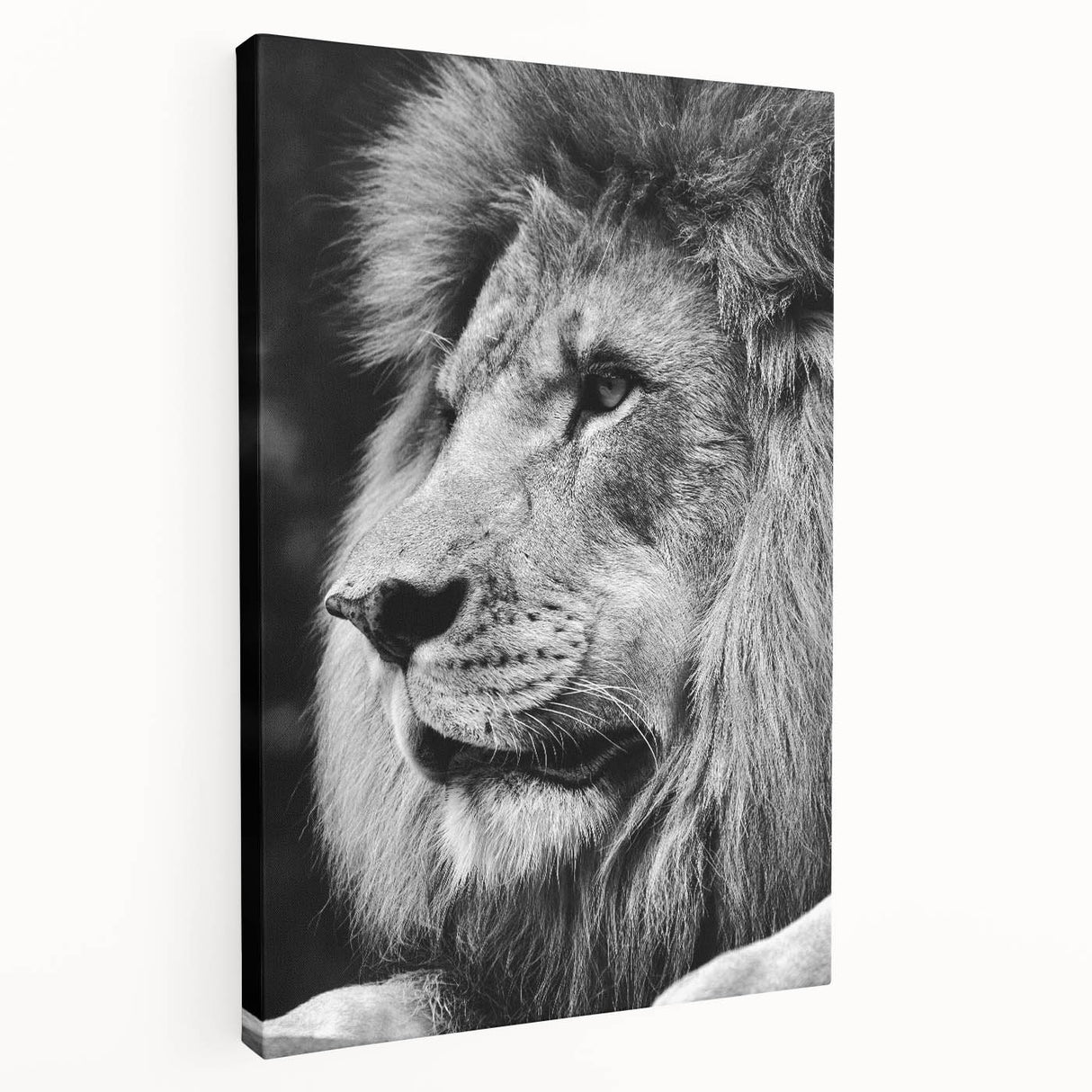 Stretched canvas wall art depicting a majestic lion in profile, showcasing vibrant colors and intricate details, perfect for wildlife enthusiasts and home decor.