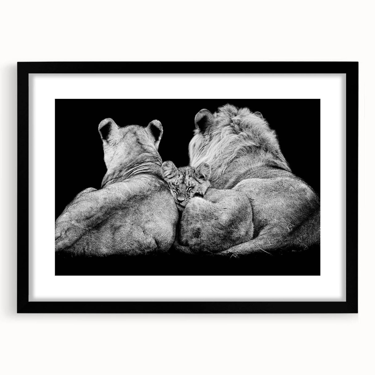 Framed wall art featuring a majestic lion design in black and gold, set against a striking white background, perfect for wildlife enthusiasts and modern decor.