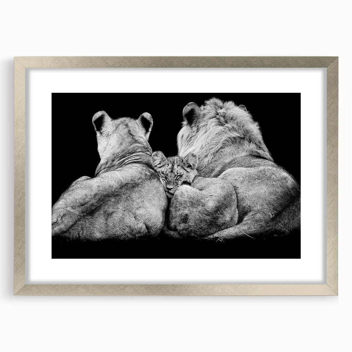 Framed wall art featuring a majestic lion design in a silver frame, showcased with a white mat, perfect for animal lovers and home decor enthusiasts.