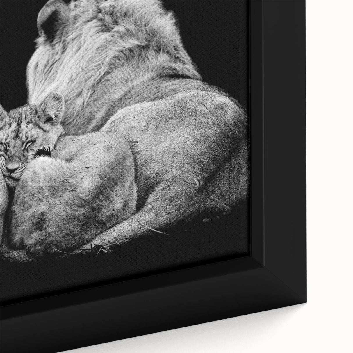 Close-up of a stunning framed canvas wall art featuring a majestic lion design, showcasing intricate details and vibrant colors, perfect for wildlife enthusiasts.