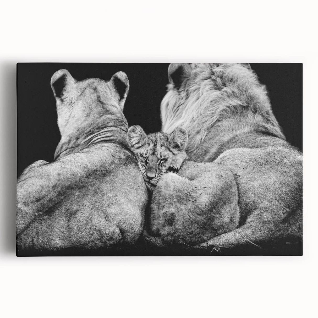 Vibrant stretched canvas wall art showcasing a majestic lion's face in a wild, colorful design. Perfect for animal lovers and home decor enthusiasts.