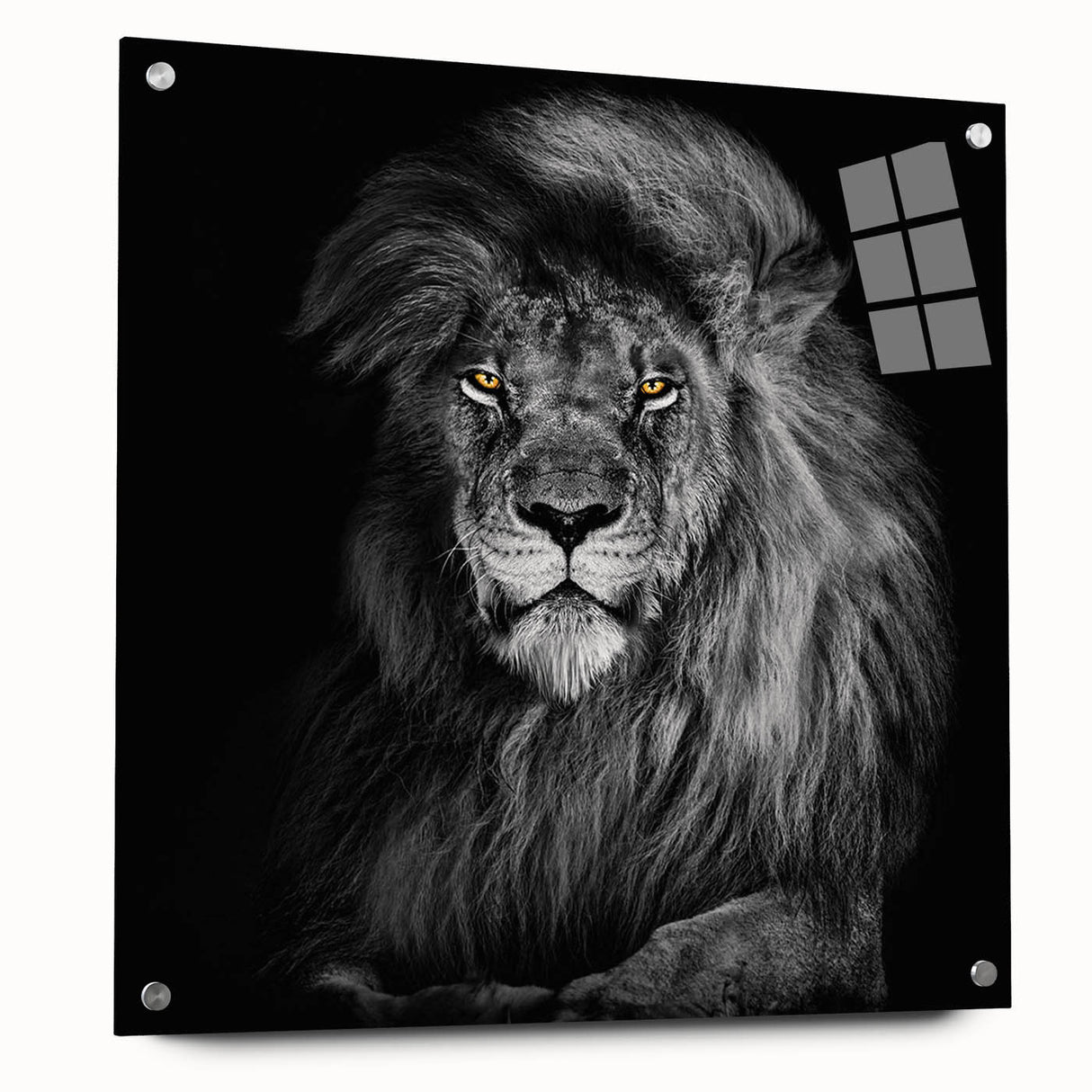 Acrylic wall art display featuring a striking lion design in a side view, showcasing vivid colors and intricate details, ideal for animal lovers and home decor enthusiasts.