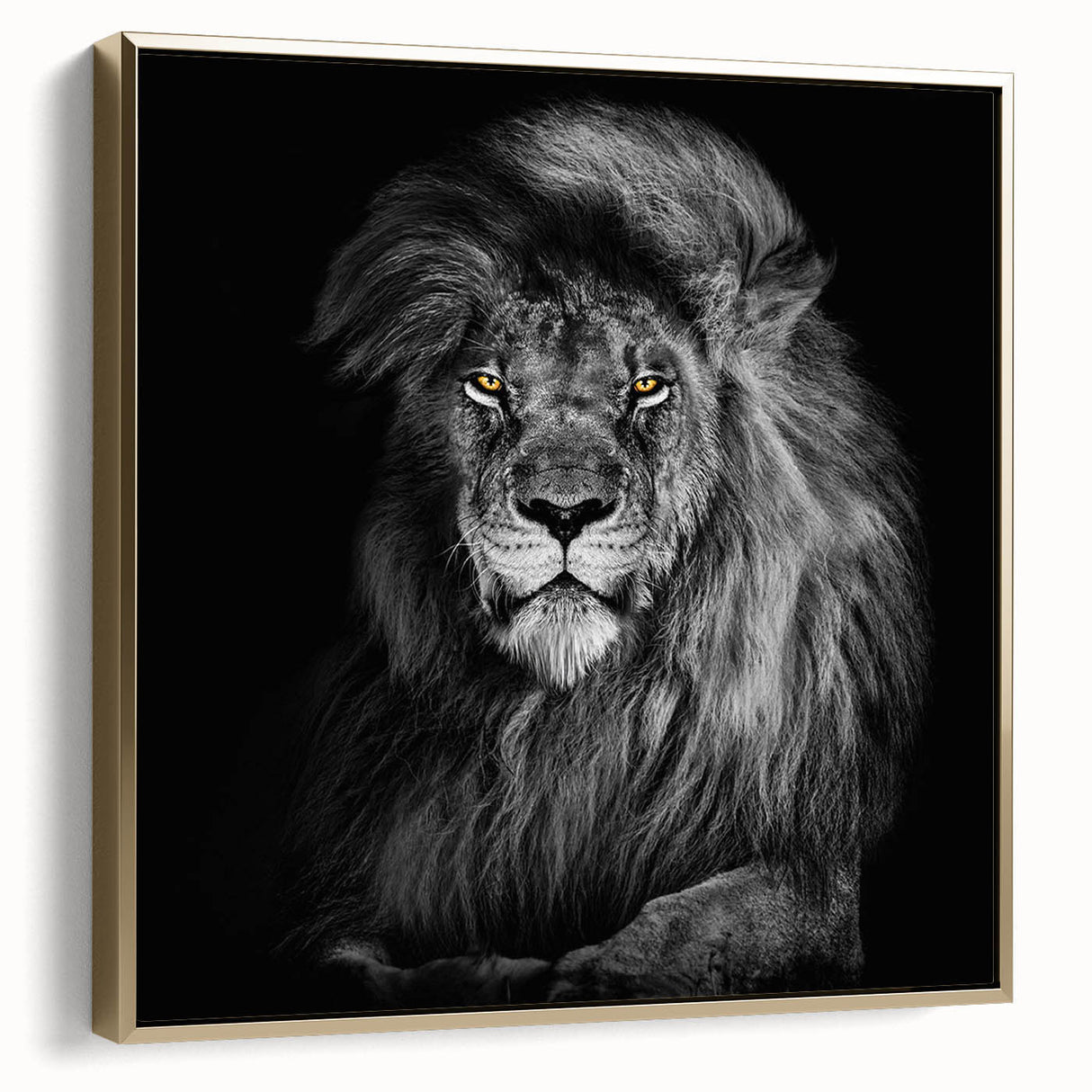 Framed canvas wall art featuring a majestic lion design in a gold frame, showcasing intricate details and vibrant colors, ideal for wildlife enthusiasts and home decor.
