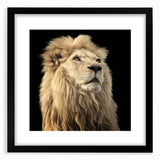 Framed wall art featuring a striking lion design in a black frame with a mat, showcasing vibrant colors and intricate details, perfect for wildlife enthusiasts.