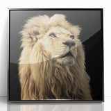 Framed wall art showcasing a striking lion design in vibrant colors, featuring a sleek black frame and acrylic glass, ideal for animal lovers and home decor enthusiasts.
