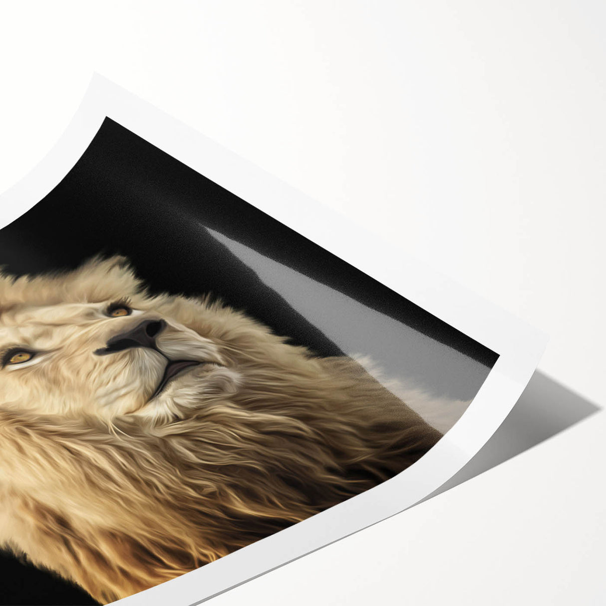 Vibrant rolled print of a majestic lion, showcasing intricate details and rich colors, perfect for wildlife enthusiasts and home decor lovers.