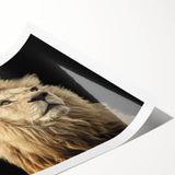 Vibrant rolled print of a majestic lion, showcasing intricate details and rich colors, perfect for wildlife enthusiasts and home decor lovers.