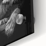 Close-up of a vibrant acrylic glass wall art piece showcasing a majestic lion design in a natural setting, emphasizing intricate details and bold colors.