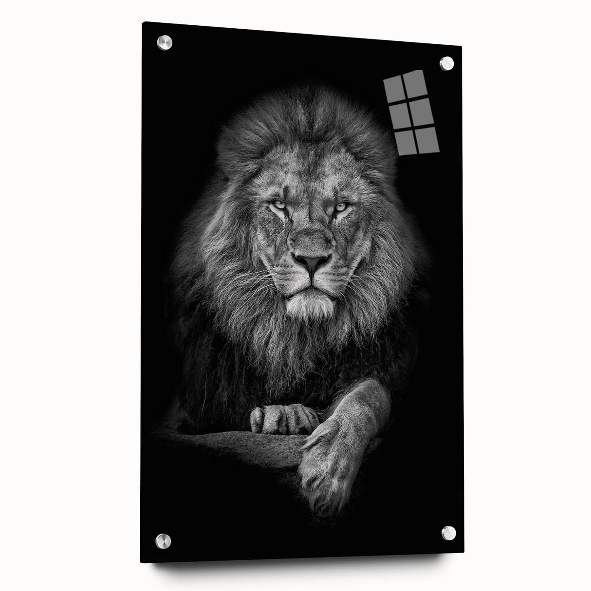 Acrylic wall art showcasing a vibrant lion design with intricate colors and details, mounted with pins to enhance visual appeal and create a striking focal point.