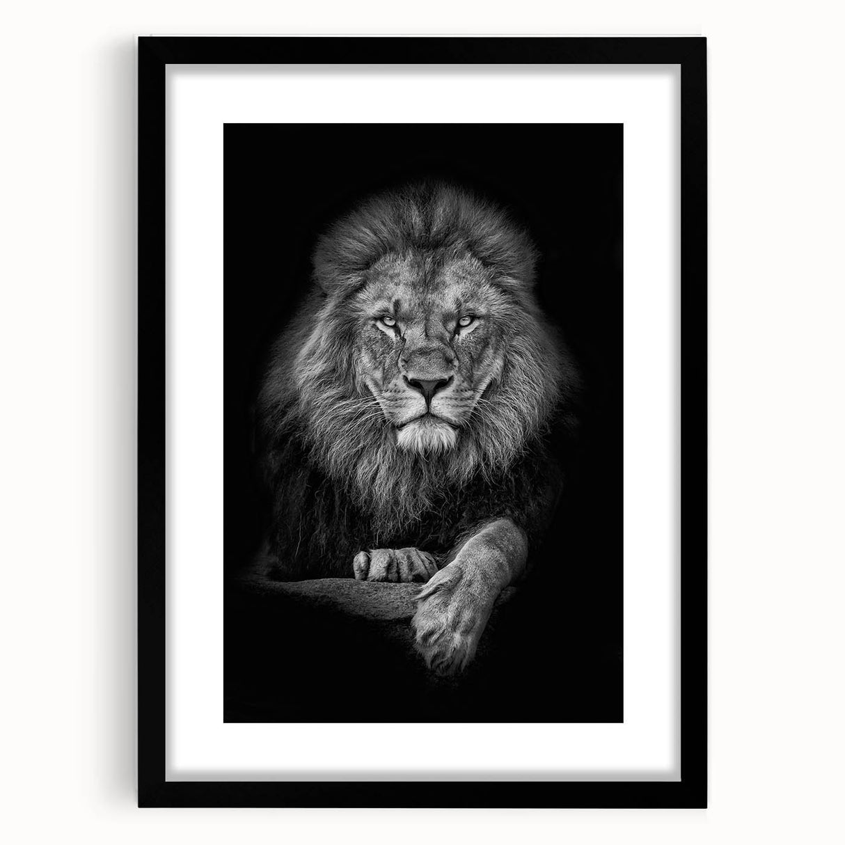 Framed wall art featuring a striking lion design, set against a black mat, showcasing vibrant colors and intricate details, perfect for wildlife enthusiasts.