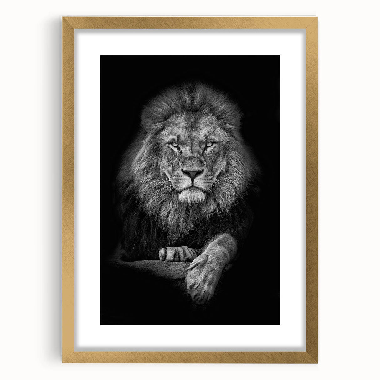 Framed wall art collection featuring a majestic lion design with a gold mat, showcasing vibrant colors and intricate details, perfect for wildlife enthusiasts.