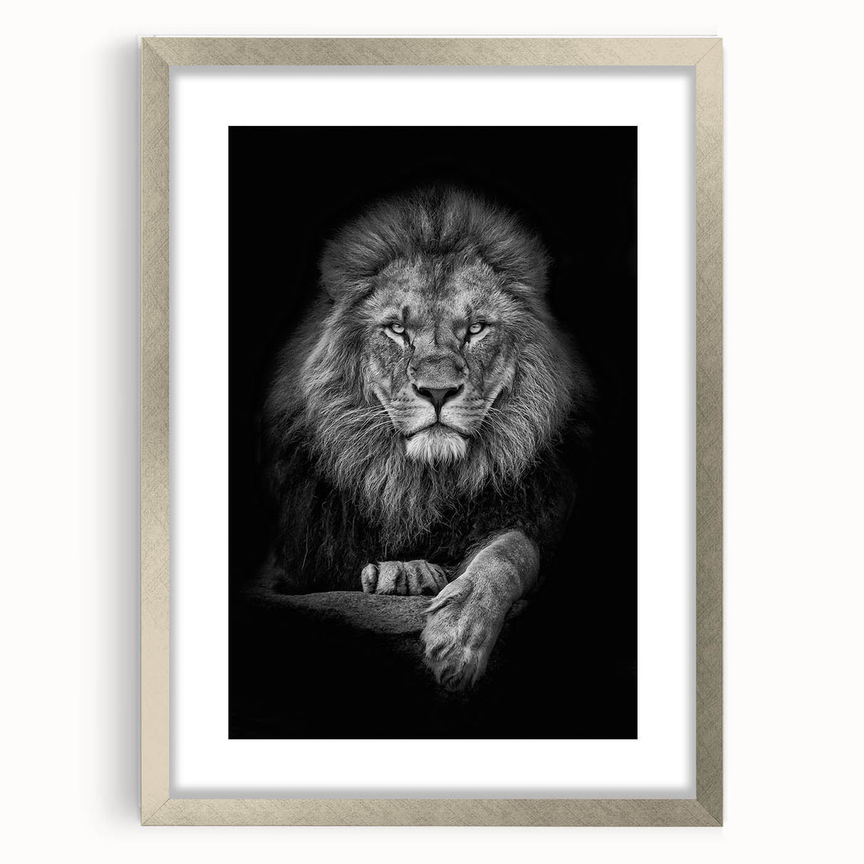 Framed wall art collection featuring a majestic lion design, presented in a silver frame with a mat, perfect for adding a touch of wildlife elegance to any decor.