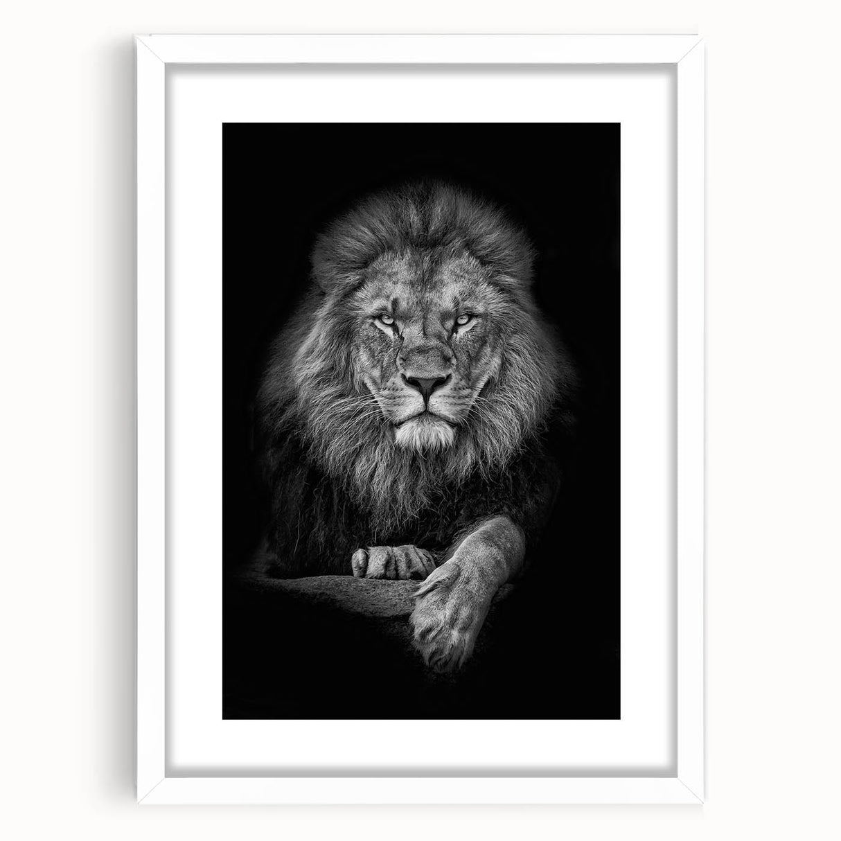 Lion-themed wall art print framed in white with a mat, showcasing a majestic lion design, perfect for adding a touch of wildlife elegance to any room.